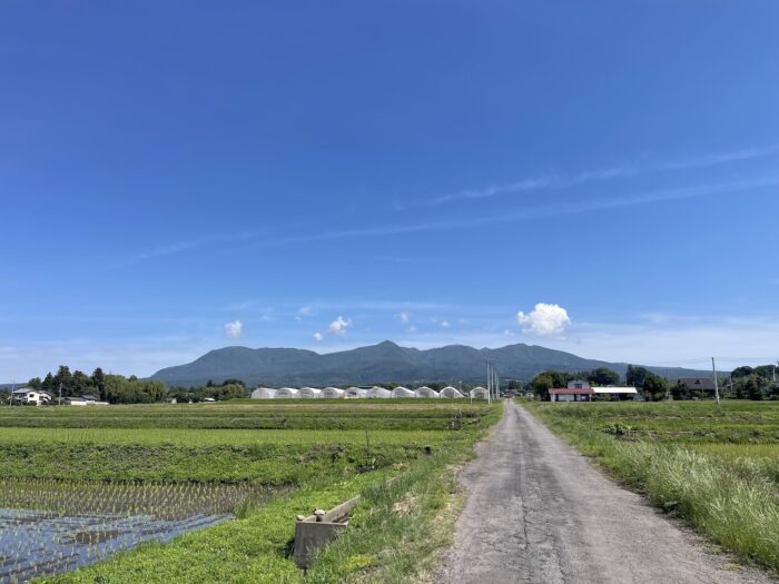 6月17日(水) AM 9:06 前橋市苗ケ島町