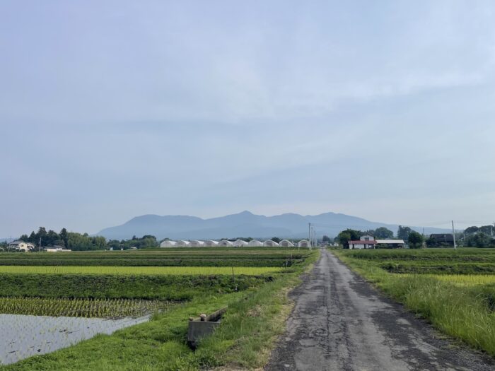 6月14日(日)　AM 6:47　前橋市苗ケ島町