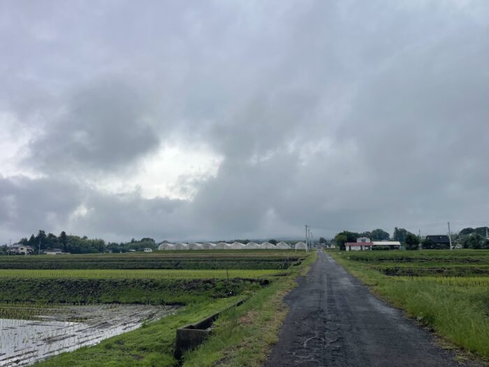 6月9日(火)　AM 8:30　前橋市苗ケ島町