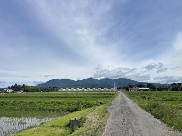 6月22日(月)　AM 8:54　前橋市苗ケ島町