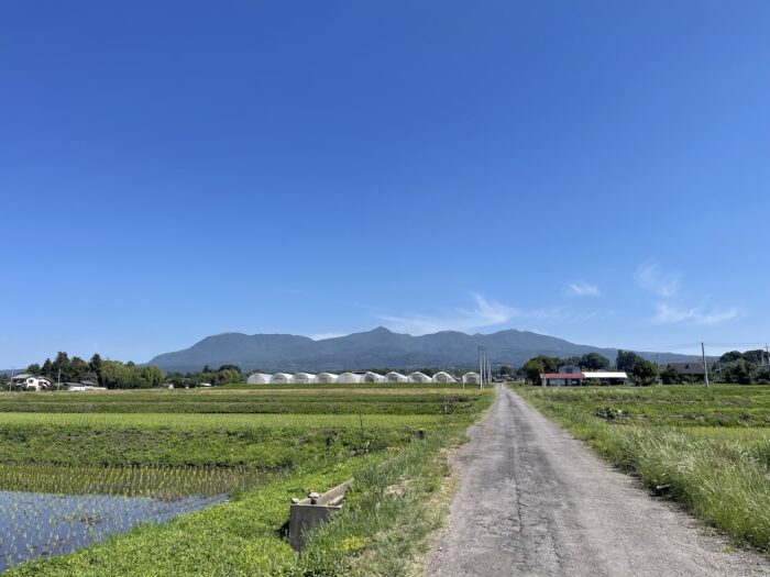6月17日(水)　AM 9:15　前橋市苗ケ島町