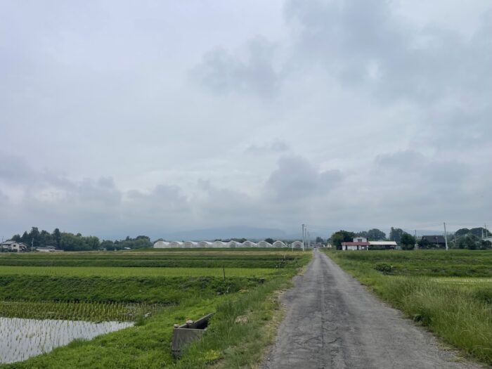 6月18日(木)　AM 8:53　前橋市苗ケ島町