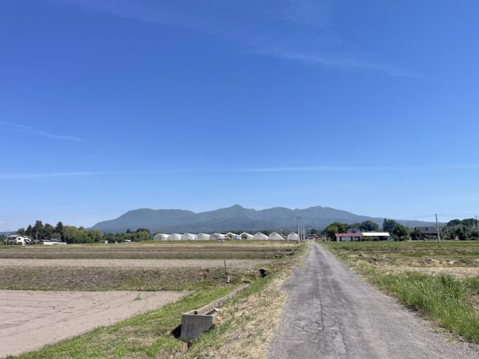 6月1日(月)　AM 9:07　前橋市苗ケ島町