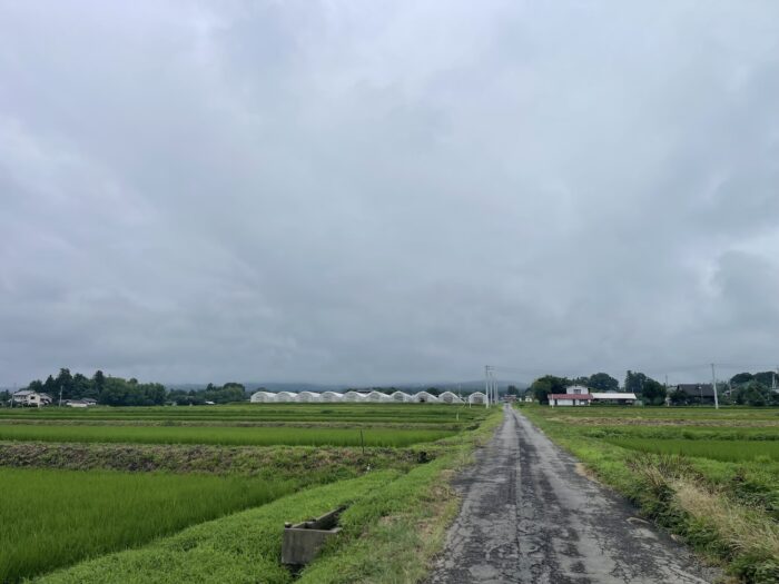 7月19日(日)　AM 9:24　前橋市苗ケ島町