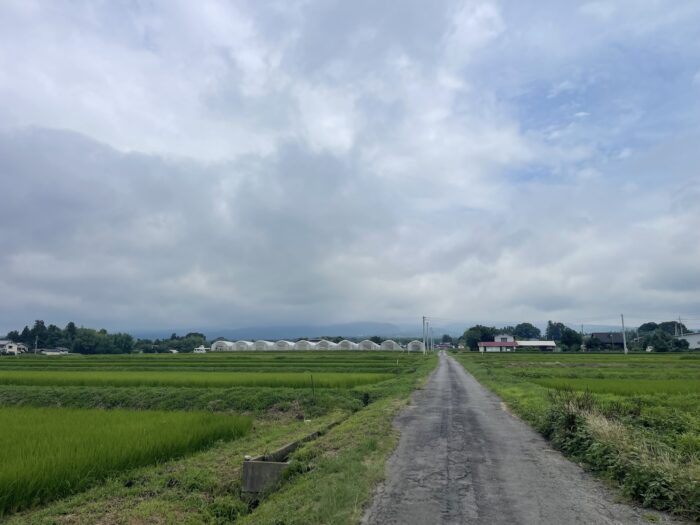 7月27日(月)　AM 10:11　前橋市苗ケ島町