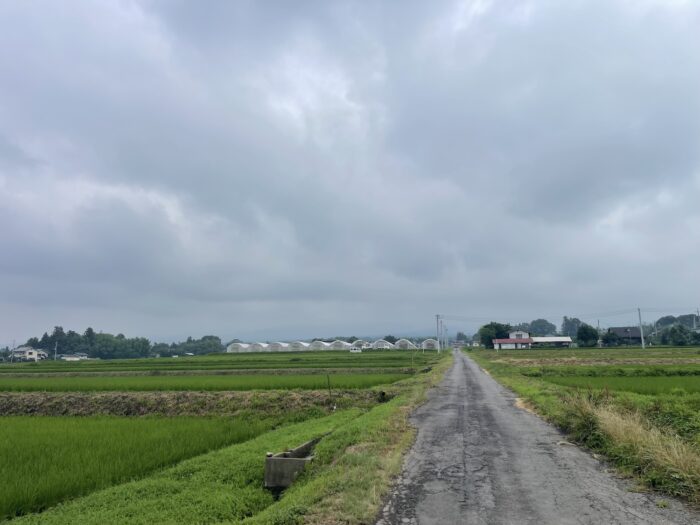 7月17日(金)　AM 9:11　前橋市苗ケ島町