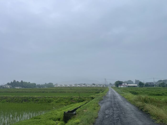7月2日(木)　AM 9:40　前橋市苗ケ島町