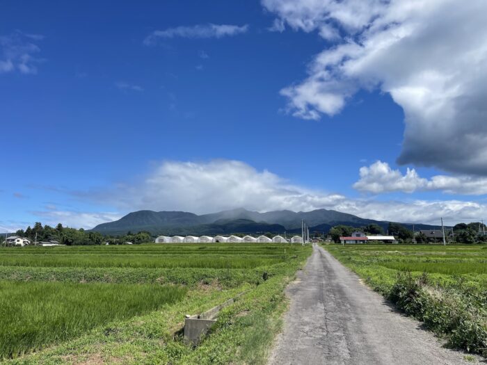 7月29日(水)　AM 9:15　前橋市苗ケ島町