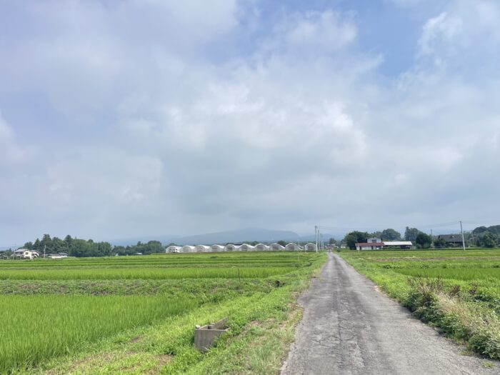 7月24日(金)　AM 9:24　前橋市苗ケ島町