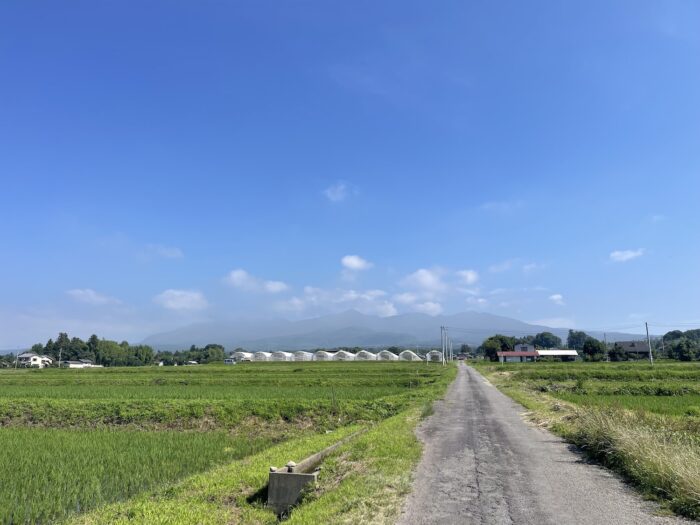 7月9日(木)　AM 8:48　前橋市苗ケ島町