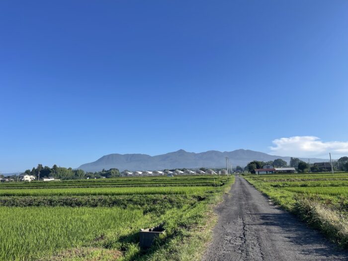 7月23日(木)　AM 6:35　前橋市苗ケ島町