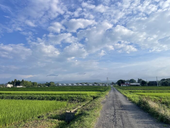 7月26日(日)　AM 6:30　前橋市苗ケ島町