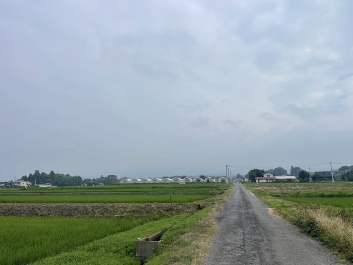 7月16日(木) AM 8:16 前橋市苗ケ島町