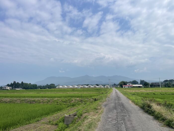 7月21日(火)　AM 9:14　前橋市苗ケ島町