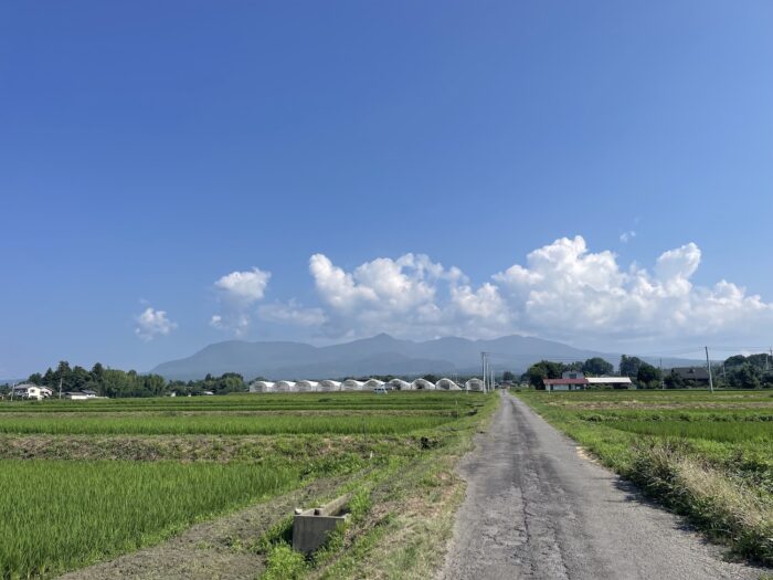 7月20日(月)　AM 8:36　前橋市苗ケ島町