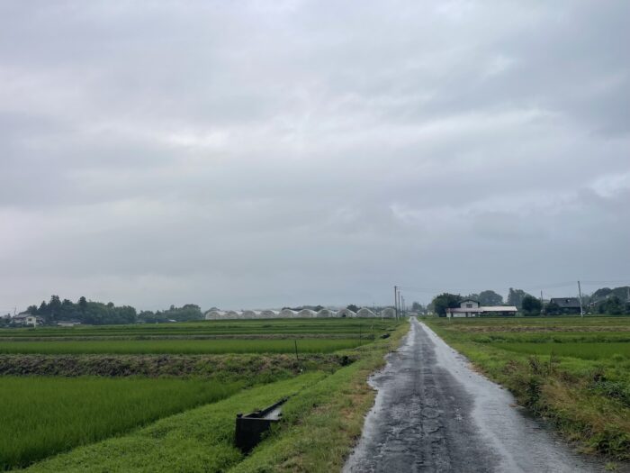 7月18日(土) AM 6:42 前橋市苗ケ島町