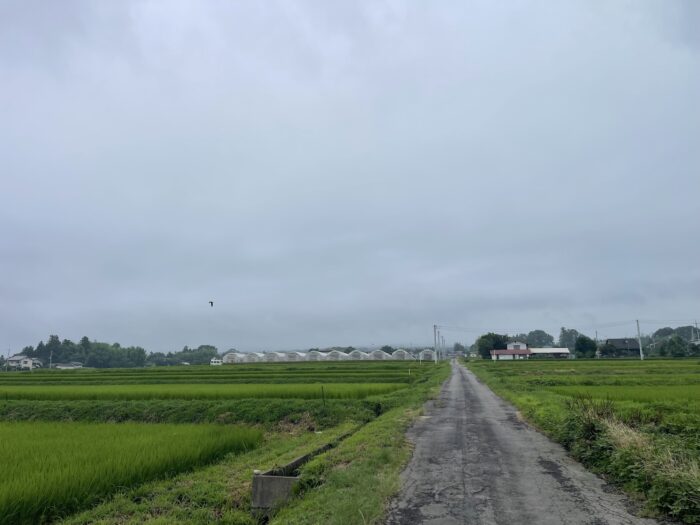 7月28日(火)　AM6:55　前橋市苗ケ島町