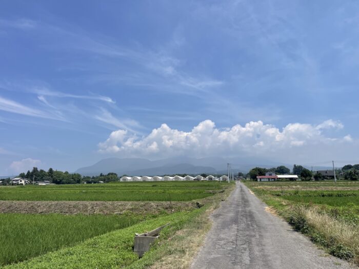 7月15日(水)　AM 10:18　前橋市苗ケ島町