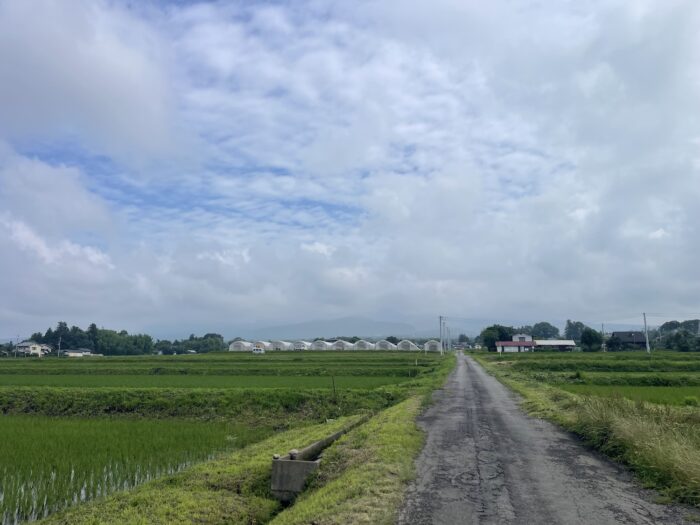 7月7日(火) AM 8:30 前橋市苗ケ島町