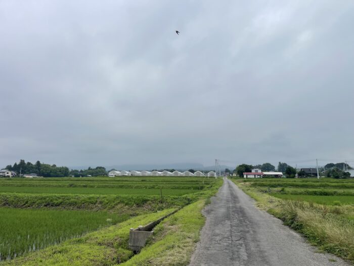 7月8日(水)　AM 10:01　前橋市苗ケ島町