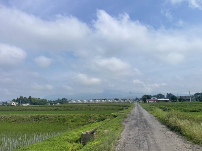 7月1日(水) AM 8:56 前橋市苗ケ島町