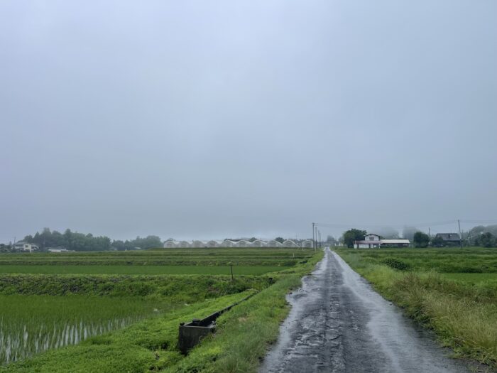 7月3日(金)　AM 6:47　前橋市苗ケ島町