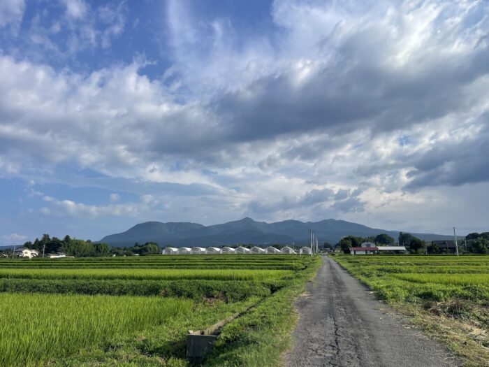 7月30日(木)　AM 6:52　前橋市苗ケ島町