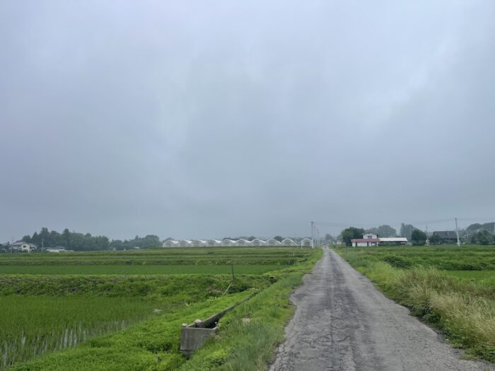 7月4日(土)　AM 7:47　前橋市苗ケ島町