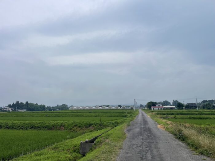 7月12日(日)　AM 8:48　前橋市苗ケ島町