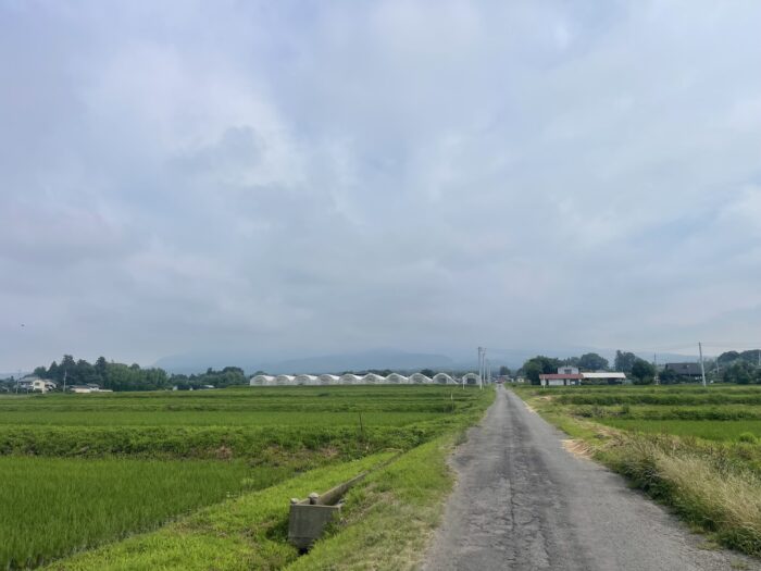 7月11日(土)　AM 8:46　前橋市苗ケ島町