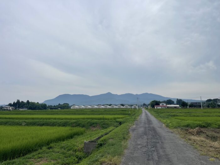 7月31日(金)　AM 9:57　前橋市苗ケ島町