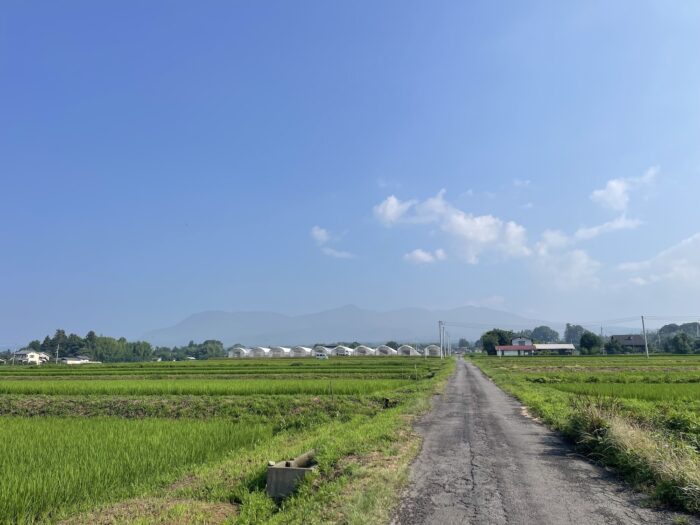 7月22日(水)　AM 7:54　前橋市苗ケ島町