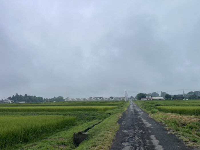 8月23日(日)　AM 8:20　前橋市苗ケ島町