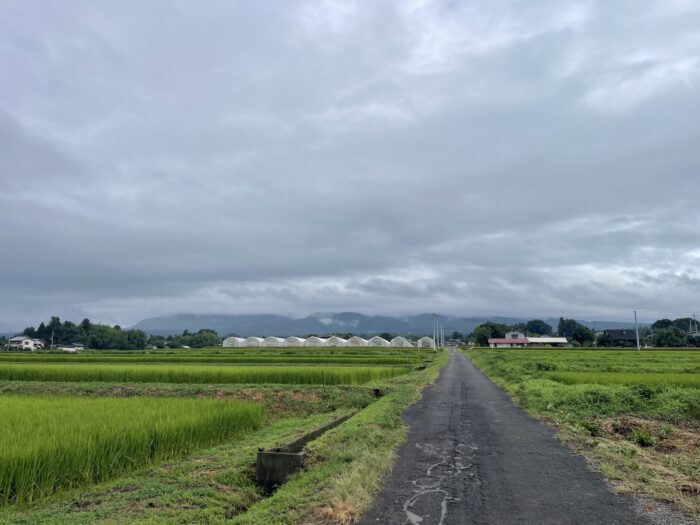 8月13日(木)　AM 8:54　前橋市苗ケ島町