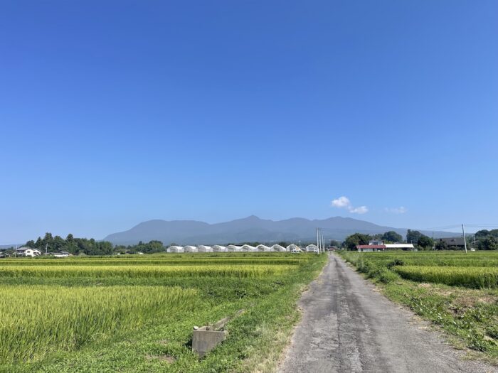 8月25日(火)　AM 9:05　前橋市苗ケ島町