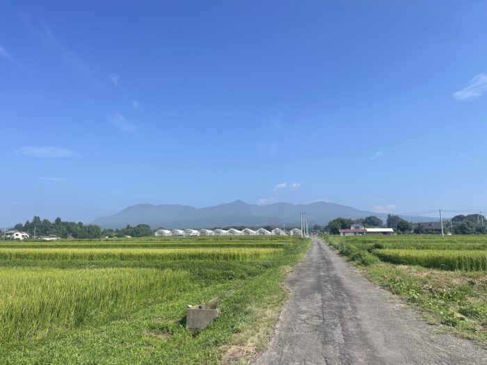 8月24日(月)　AM 8:56　前橋市苗ケ島町