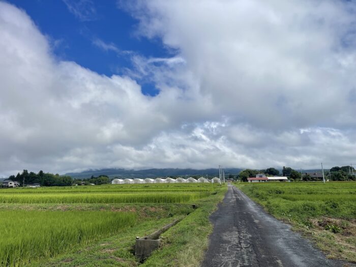 8月14日(金)　AM 9:14　前橋市苗ケ島町