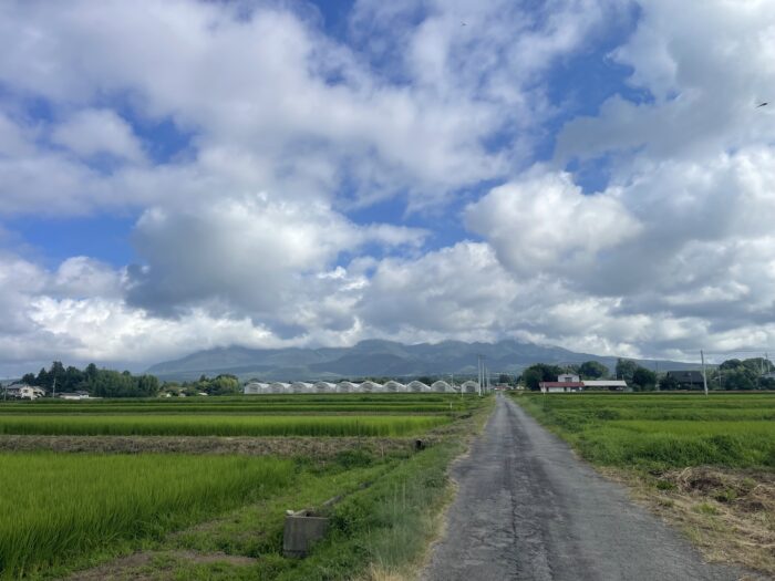 8月7日(金)　AM  8:05　前橋市苗ケ島町