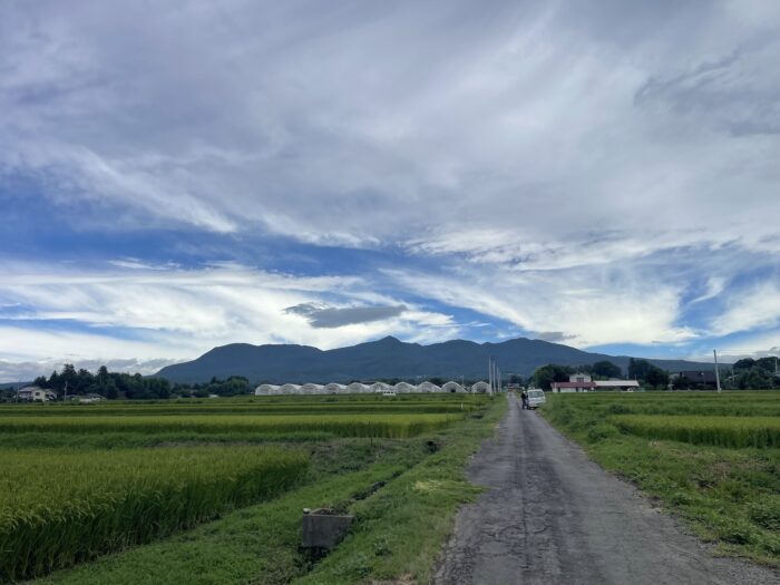 8月28日(金)　AM 10:21　前橋市苗ケ島町