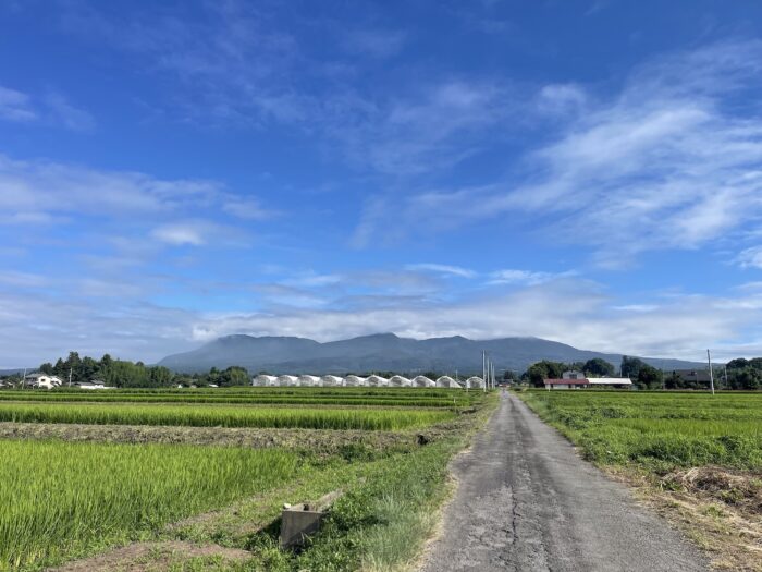 8月6日(木)　AM 8:03　前橋市苗ケ島町