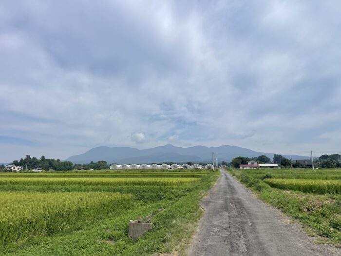 8月26日(水)　AM 9:22　前橋市苗ケ島町