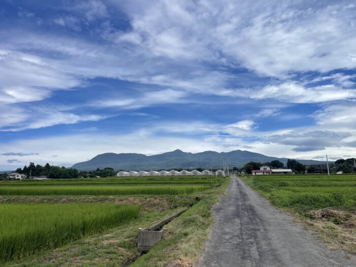 8月11日(火)　AM 9:46　前橋市苗ケ島町
