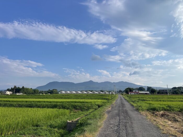 8月2日(日)　AM 6:39　前橋市苗ケ島町