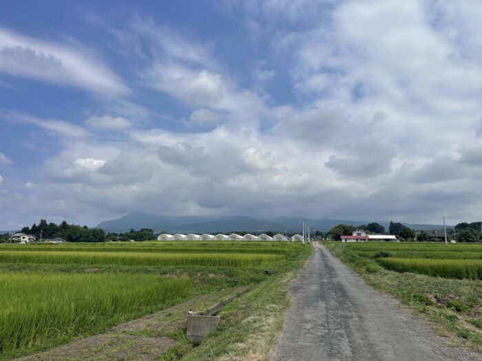 8月19日(水)　AM 10:05　前橋市苗ケ島町