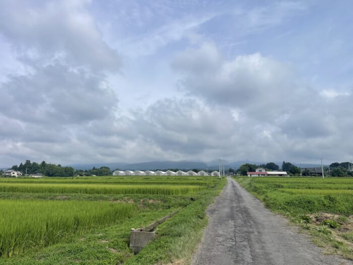 8月17日(月)　AM 9:34　前橋市苗ケ島町