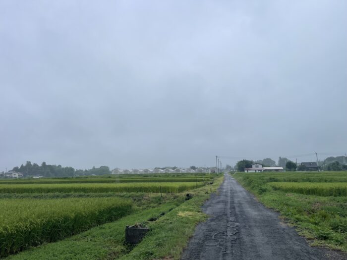 8月30日(日)　AM 6:55　前橋市苗ケ島町