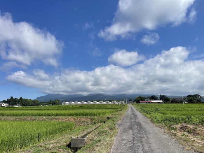 8月10日(月)　AM 9:03　前橋市苗ケ島町