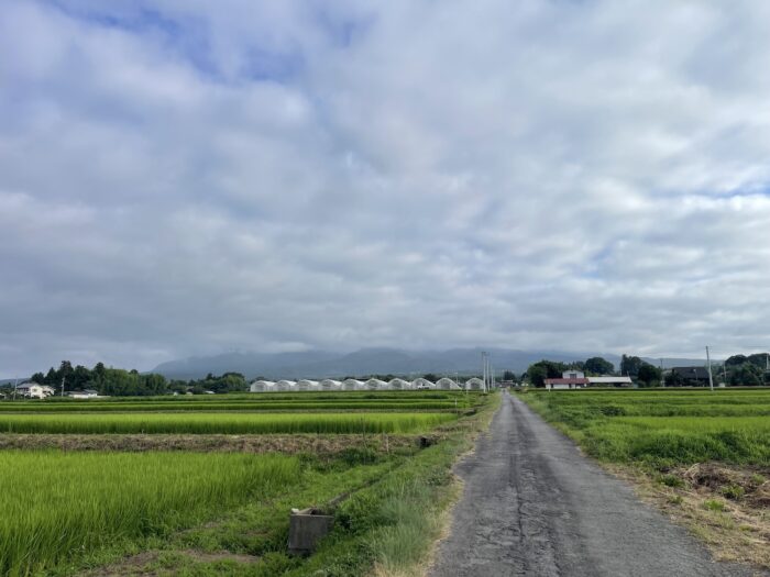 8月8日(土)　AM 6:44　前橋市苗ケ島町