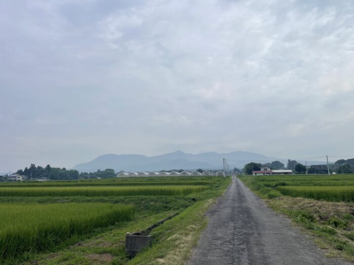 8月21日(金)　AM 7:02　前橋市苗ケ島町