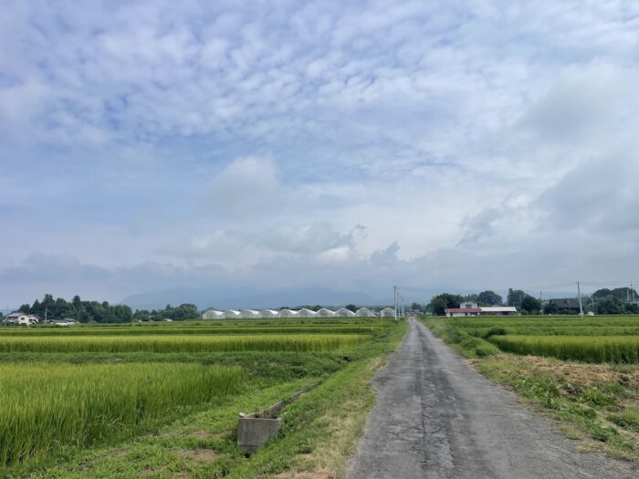 8月22日(土)　AM 9:12　前橋市苗ケ島町